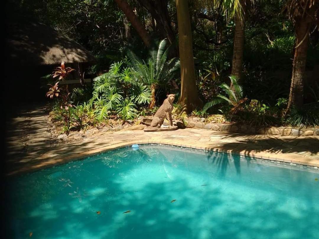 Paradise River Lodge Hoedspruit Exterior photo
